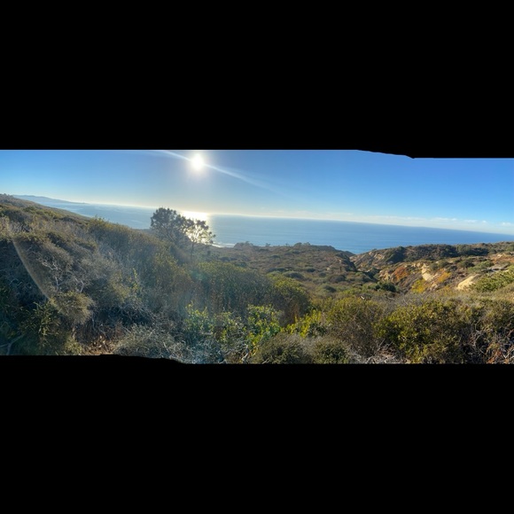 Meet your Posher, Love - Picture 1 of 1